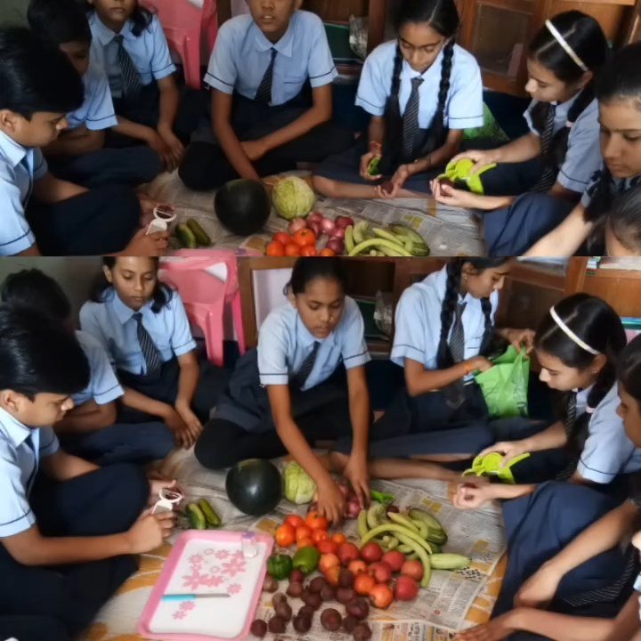 Vegetable activities